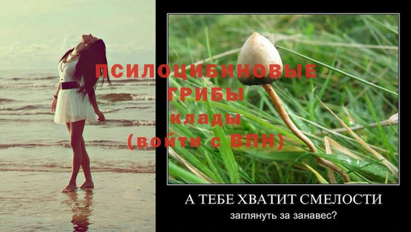 MESCALINE Беломорск
