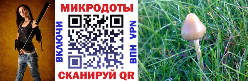 наркошоп  Покровск  Галлюциногенные грибы Magic Shrooms 